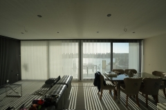 Vertical Blinds