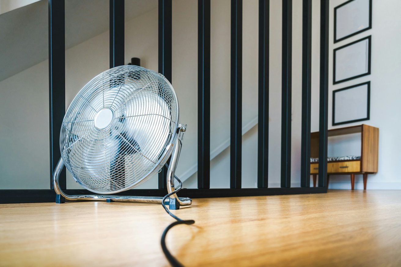 fan